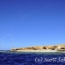 island_brother_little_bro_l_h_0203_egy0038.jpg